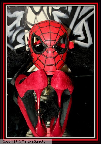 Spider Girl's Web - Framed