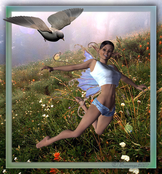 Bird's Chase