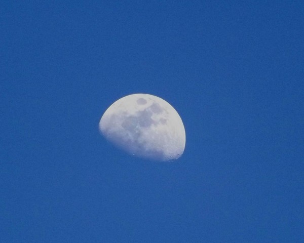 Moon