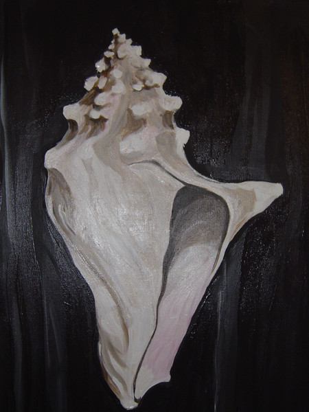 Seashell