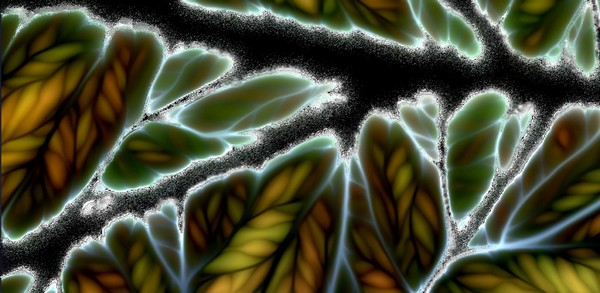 Night of the First Frost