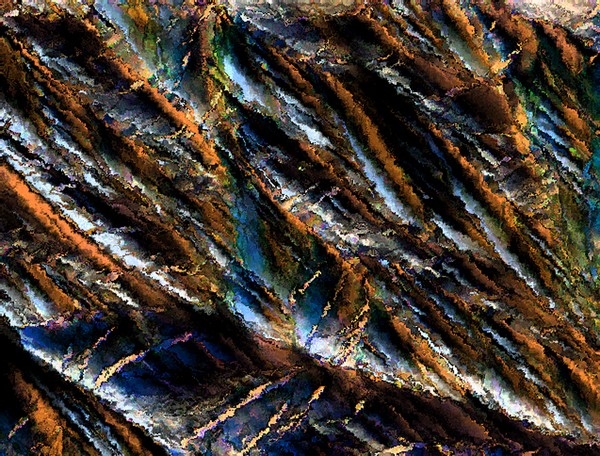 Frozen Bark in Winter
