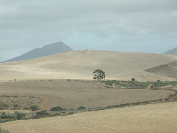 Overberg Fields