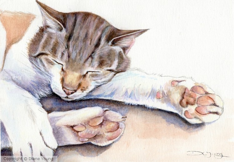 Twinkle Toes