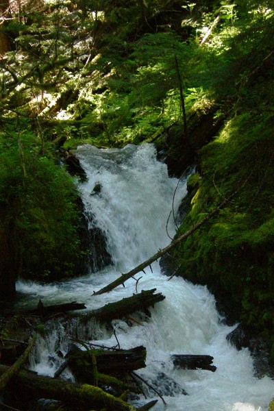 The Falls Before 