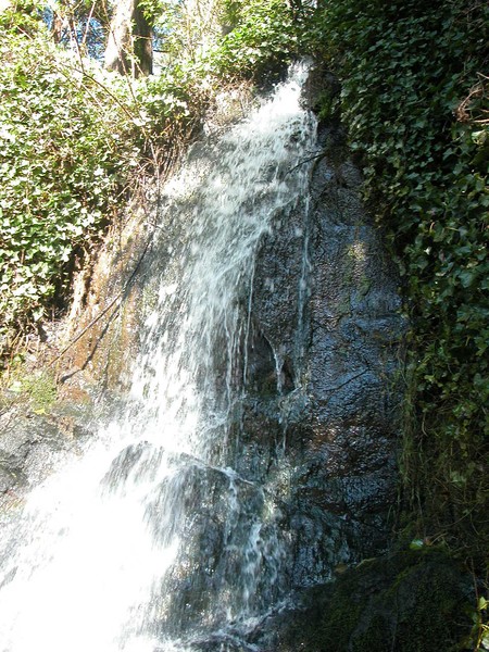 the falls