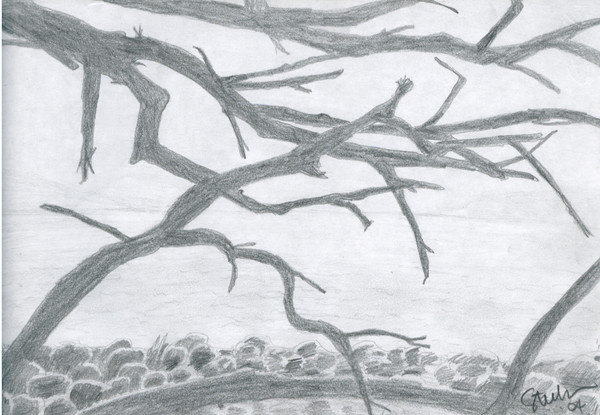 withered