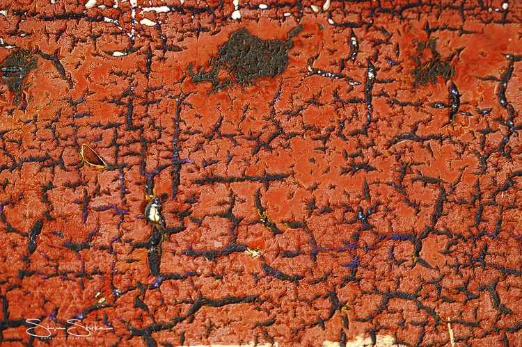 Desert mosaic