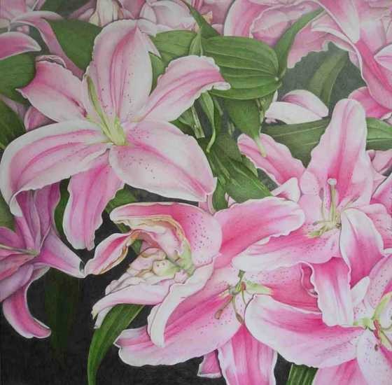 Lily