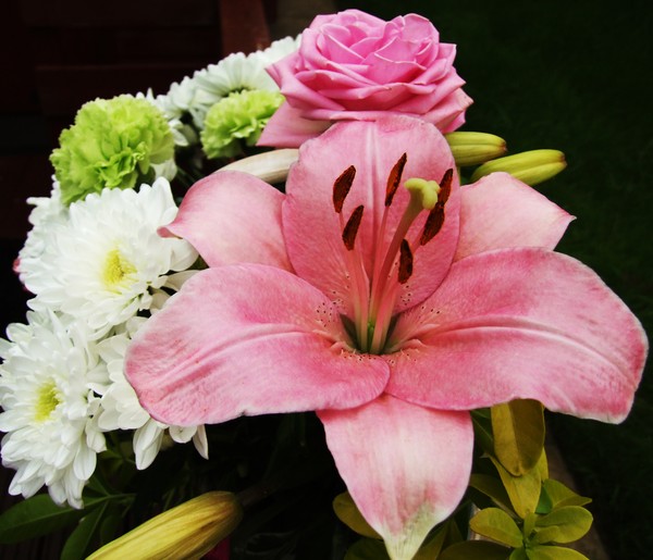 lily and rose