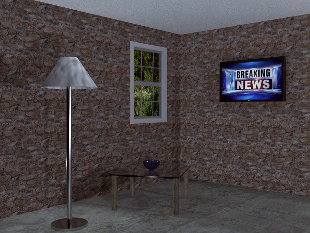 Living Room Window