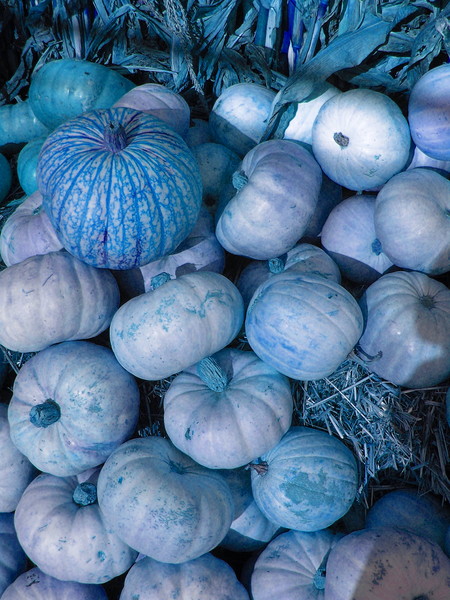 Blue Pumpkins