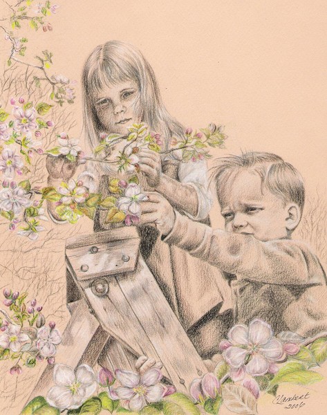 Uncle Don's Orchard