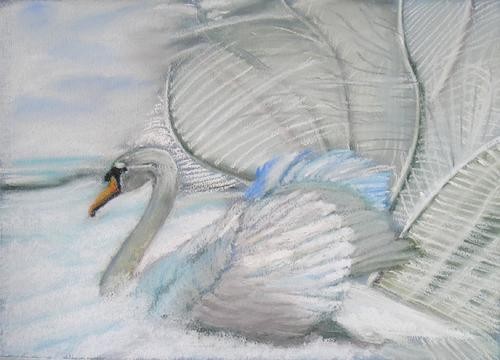 Mystic Swan