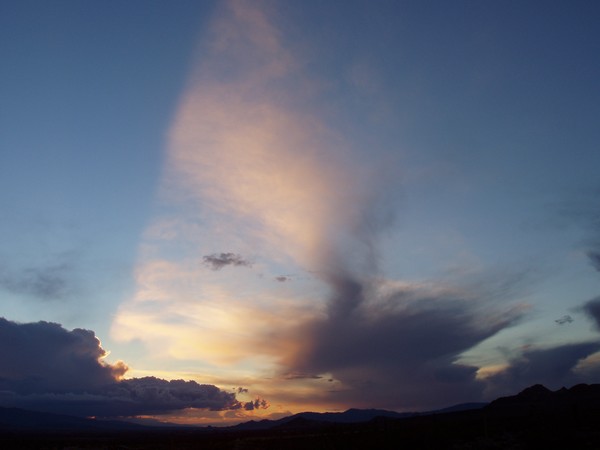 Evening Set #4