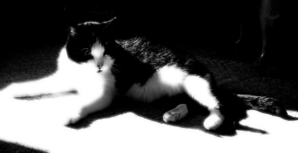 Soaking In the Sun