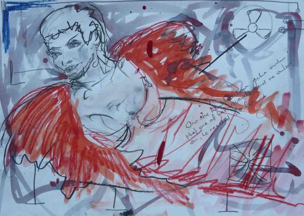 Study 30
