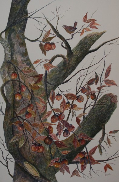 Persimmon Tree