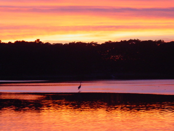 Technicolor Sunset