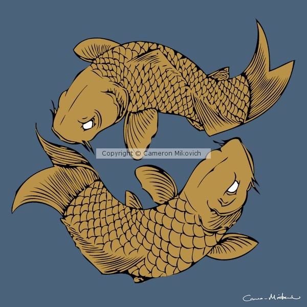 Coi
