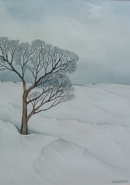 The Lone Tree