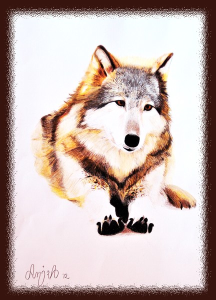 Sitting Wolf