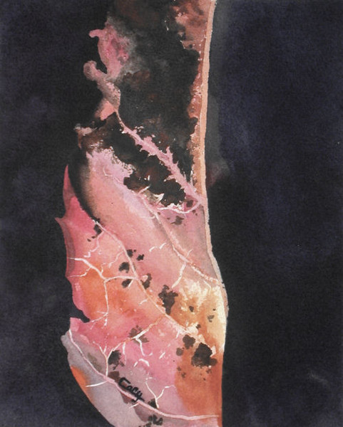 Series: Autumn Leaves 2006, Title: Leaf #13