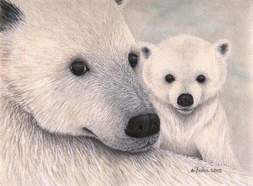 Polar Bears