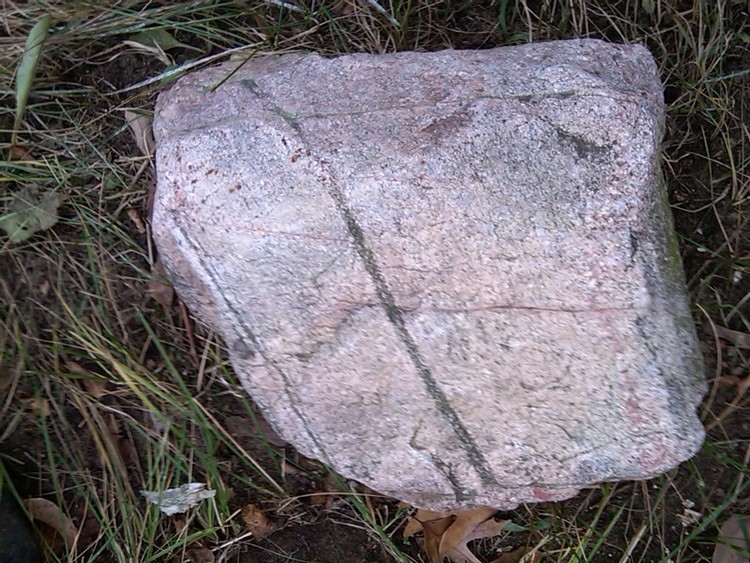 IMG01380-20101121-1339