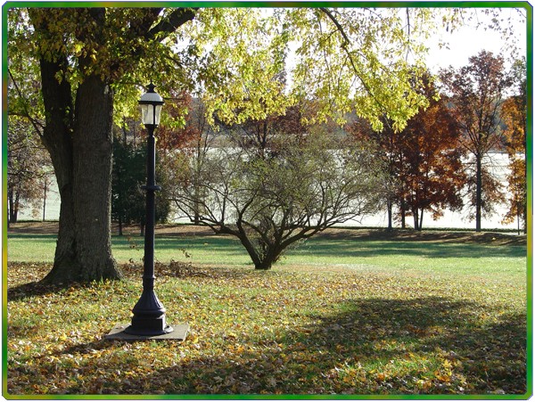 FIRST AUTUMN FROST