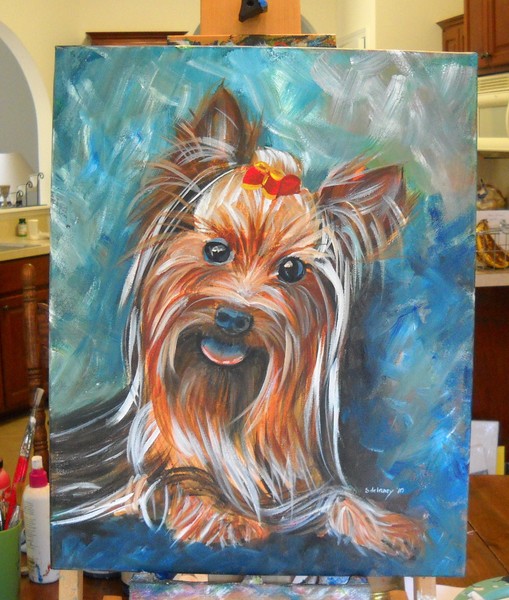 Yorkie