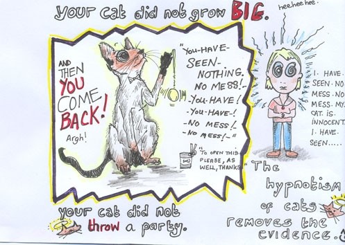 exerpts from 'Things Your Cat Does' book