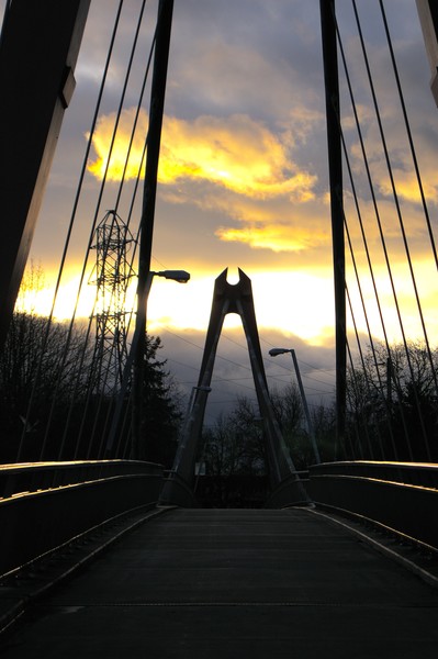 Defazio Bridge #1 (Eugene)
