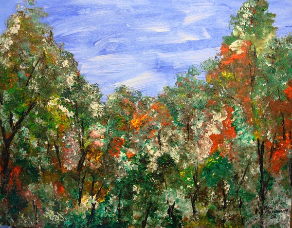 Color of the Woods