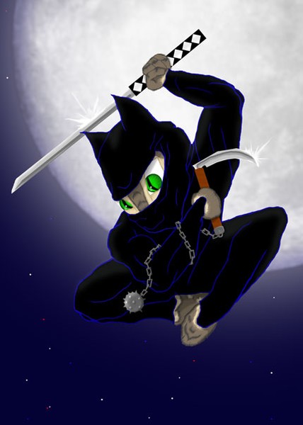 NINJAKATS! Moon