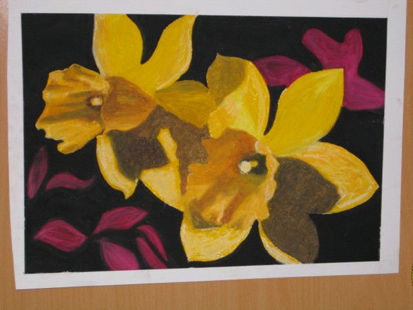 Daffodills