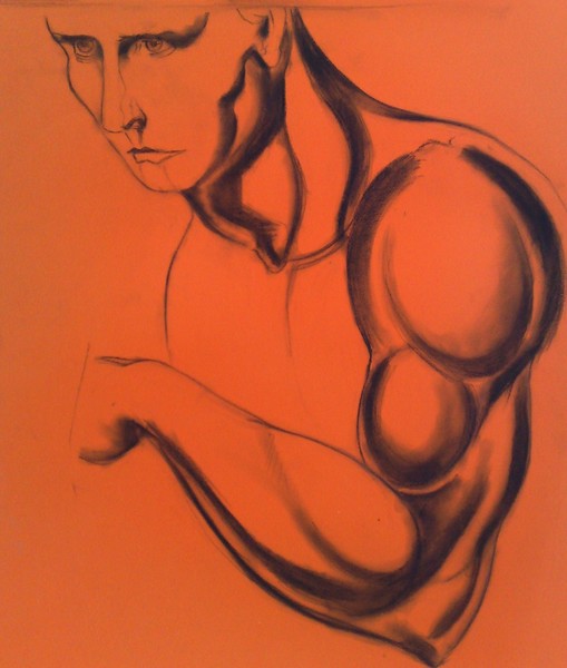 anatomy