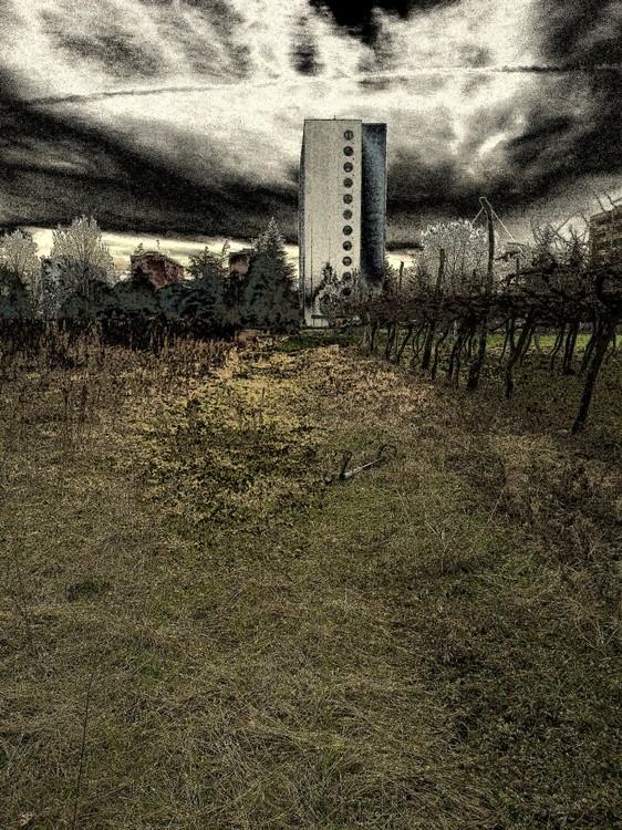 ON THE BOUNDARIES OF MY WORLD 