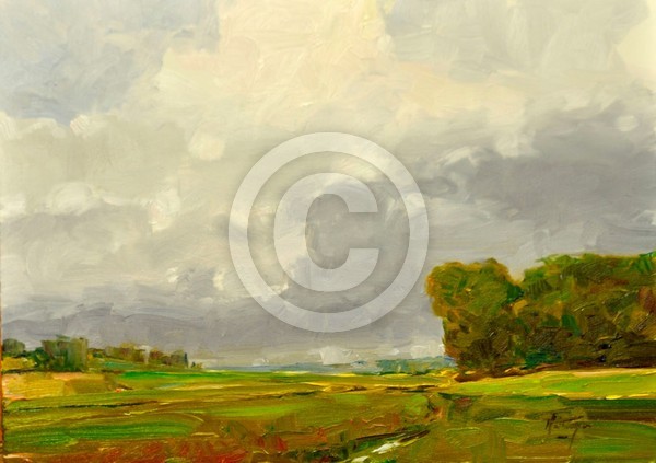 Clearing Sky