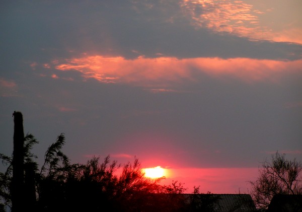 Opening in the Sky