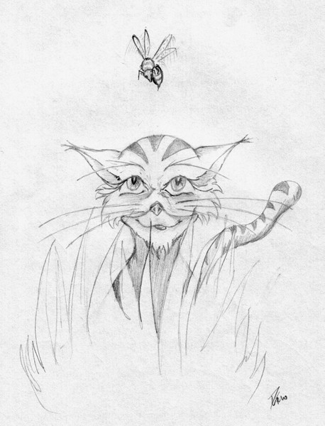 My Cat