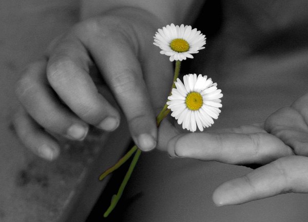 Flowers for Mother´s Day