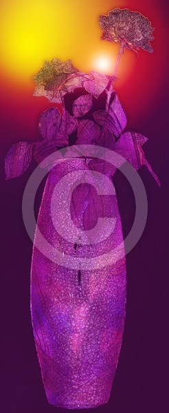 Purple Roses for a Purple Day(work in progress)