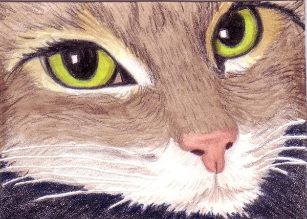 'Are YOU talking to ME??' ACEO