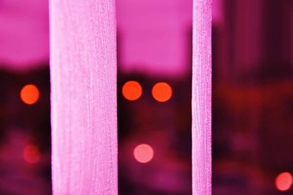 in between the blinds