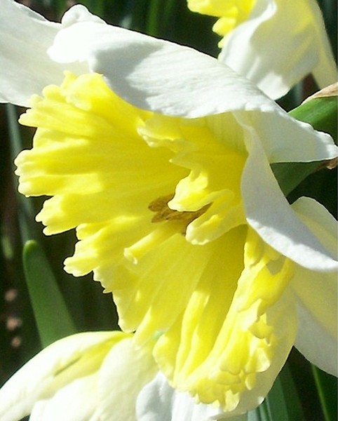 Persephone's Return. Photo. 