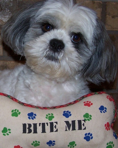 Bite me!