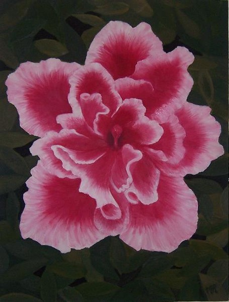 Bivrant and Pink