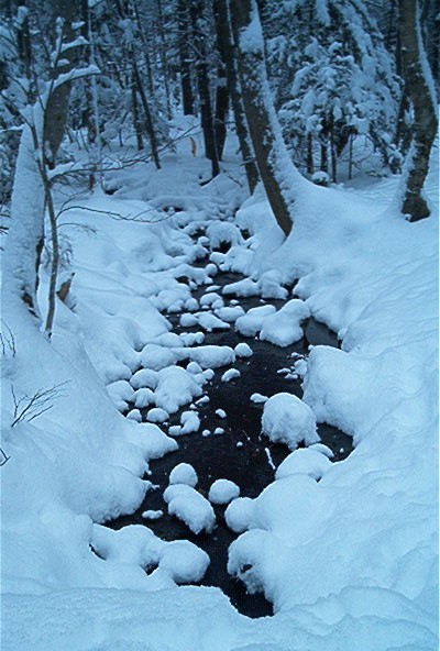 The GREAT White North eh