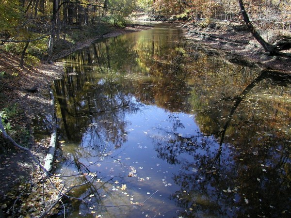 fall reflections
